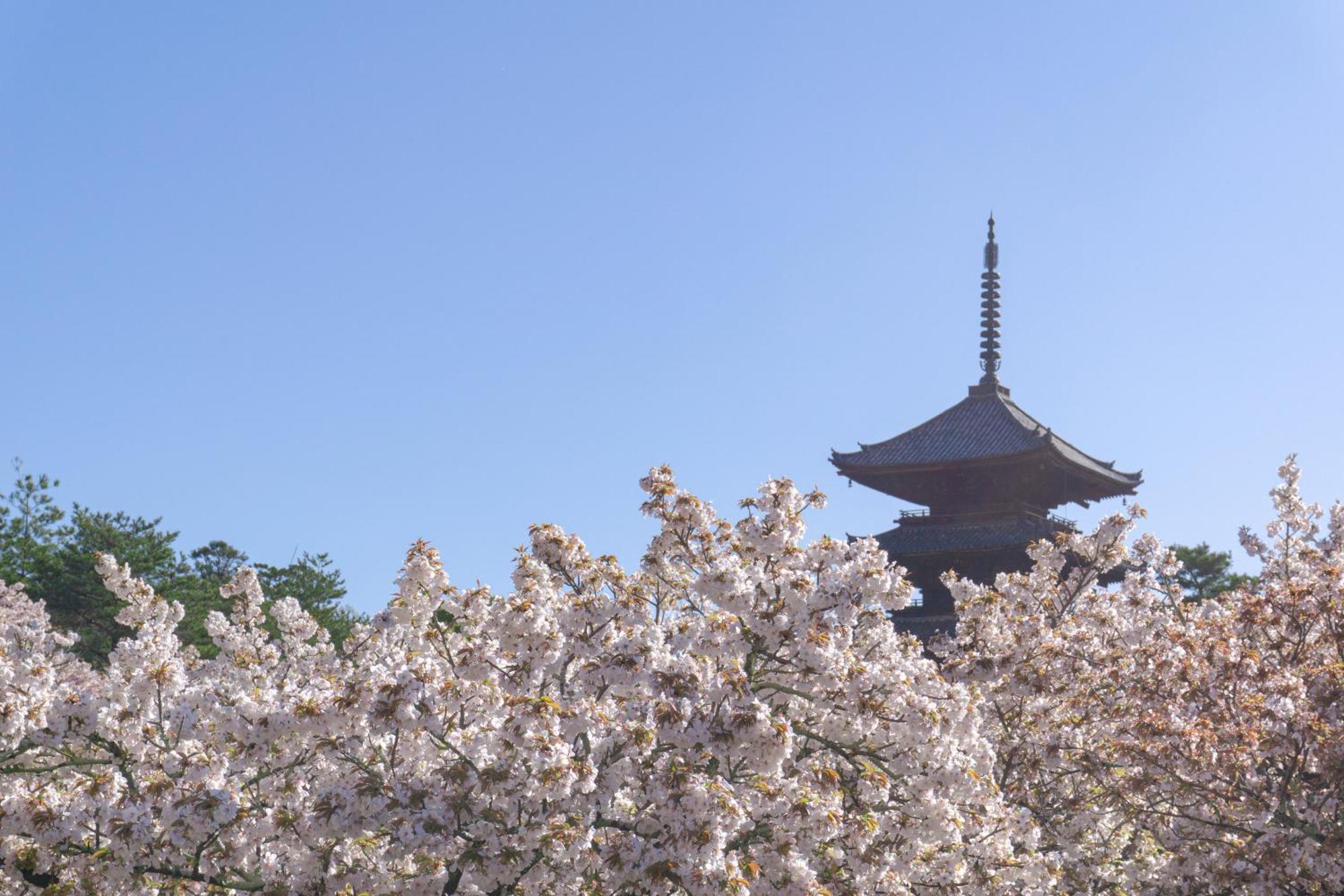 Tokyu Stay Kyoto Sanjo-Karasuma Exterior foto