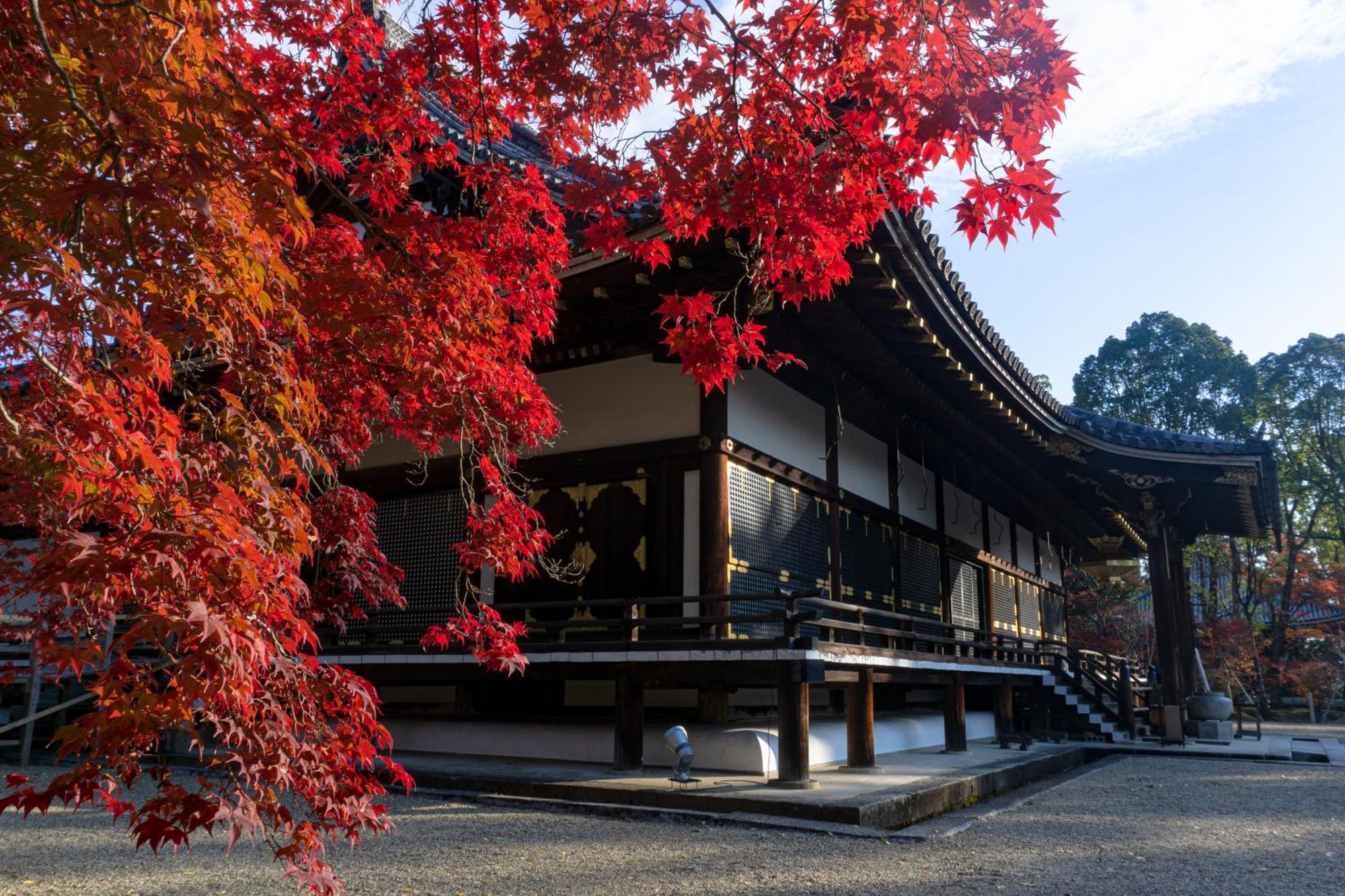 Tokyu Stay Kyoto Sanjo-Karasuma Exterior foto