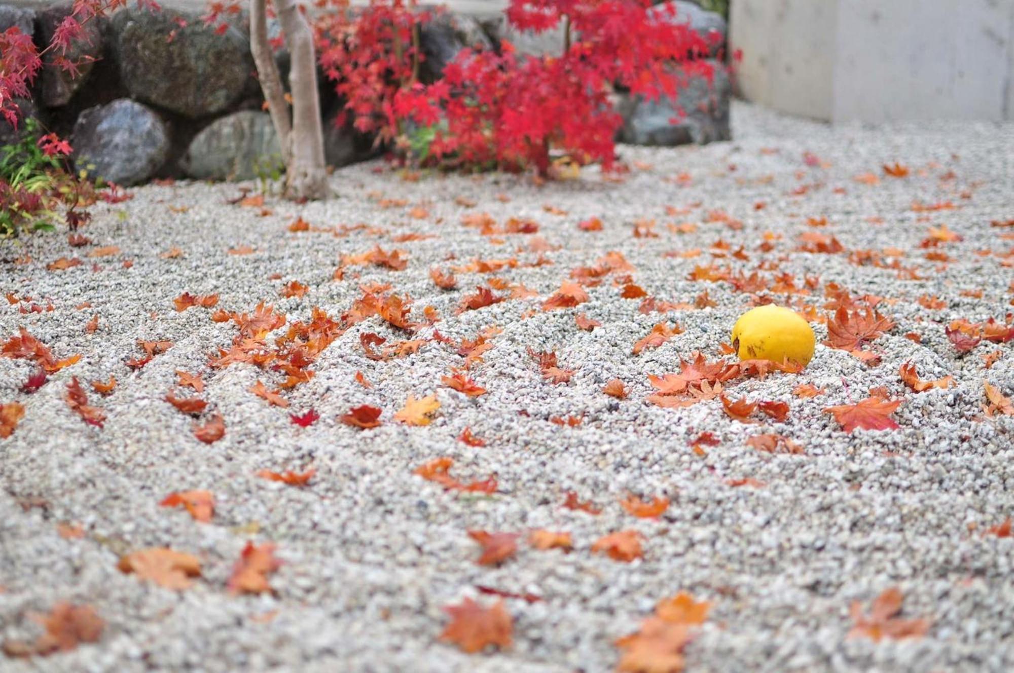 Tokyu Stay Kyoto Sanjo-Karasuma Exterior foto